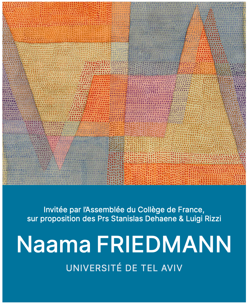 Conférences de Naama Friedmann au Collège de France – Mai & Juin 2025 